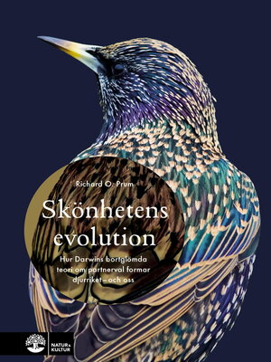 cover image of Skönhetens evolution